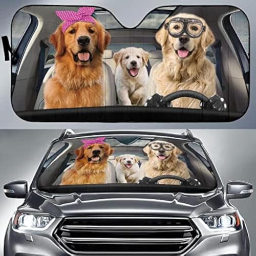 Protection pare-soleil voiture universelle pour vos trajets en famille