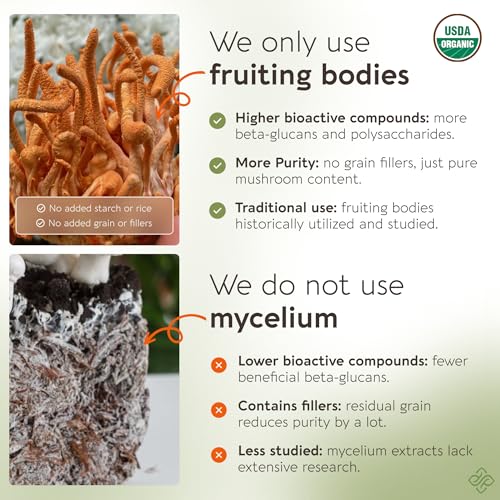 Longevity Botanicals Organic Cordyceps Capsules