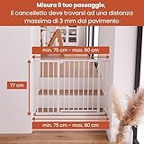 hauck B0CT8KDYNH lato 3