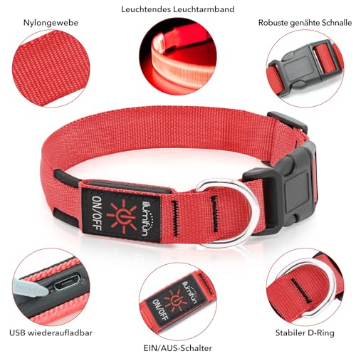 Illumifun Leuchthalsband Hund Aufladbar LED Hundehalsband Wasserdichtes Leuchthalsband für kleine und große Hunde, Hundelichter für nächtliche Spaziergänge (Rot, M)