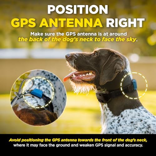 Image of Dogtra Smart Fence Additional Receiver Only (Orange) - Expand to 2 Dogs, Requires Control Station, Wireless Electric Dog Fence System, No Subscription, 2-Tier Alarm, Tone /Vibration /Static, 35 lbs+