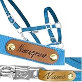 mit Ledernamensschild auf Halfter und Anbindestrick