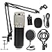 Kit microfono a sospensione professionale Studio Streaming live Streaming Registrazione Microfono a condensatore Set F