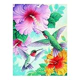 Spring Hummingbirds Hibiscus Flowers Summer Welcome Double Sided Garden Yard Flag 12" x 18", Hello S