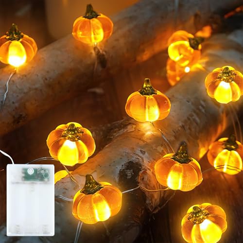 Lucine a Ghirlanda D'Autunno,3M 30 LED Autunno Zucca Foglia D'Acero Ghirlanda Luci,per Halloween Feste Interni Esterni Natale (Arancione A)