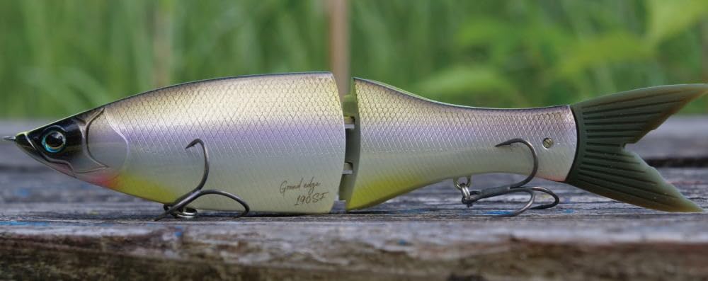 Amazon.co.jp: グラスルーツ(GRASS ROOTS) グランドエッジ190SF【＃004