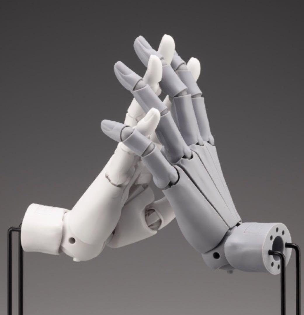 Amazon | ハンドモデル 両手セット グレー ホワイト コトブキヤ  