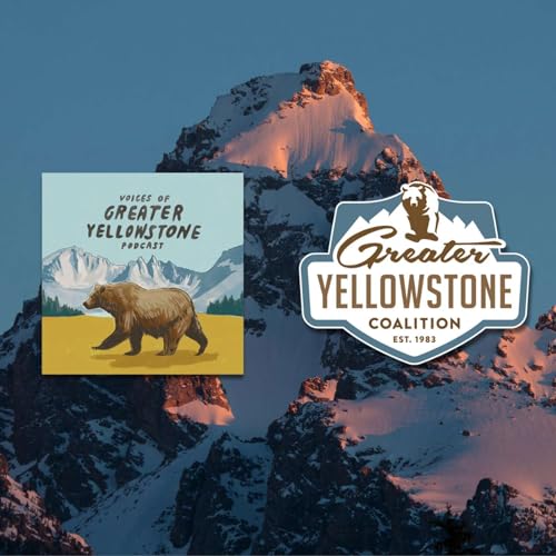 Frozen Assets: Why Greater Yellowstone Needs Snow