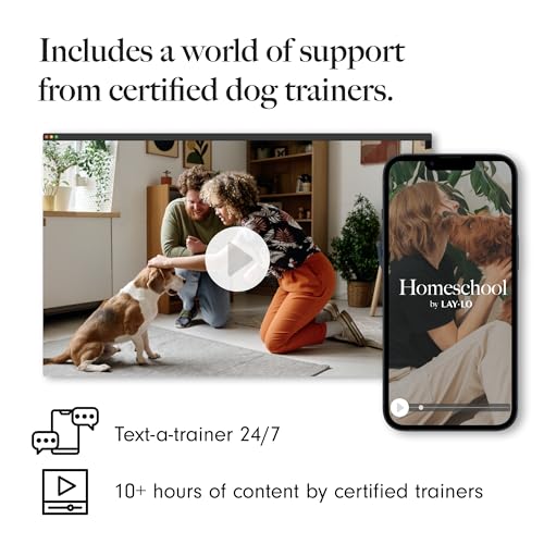 LAY-LO-Natural-Non-Toxic-Cotton-Rope-Toys-for-Small-and-Medium-Dogs-2-Pack-Includes-Live-Support-with-Dog-Trainer-Durable-Eco-Friendly-Unique-Boho-Designs-with-Handle-Interactive-Dog-Toy