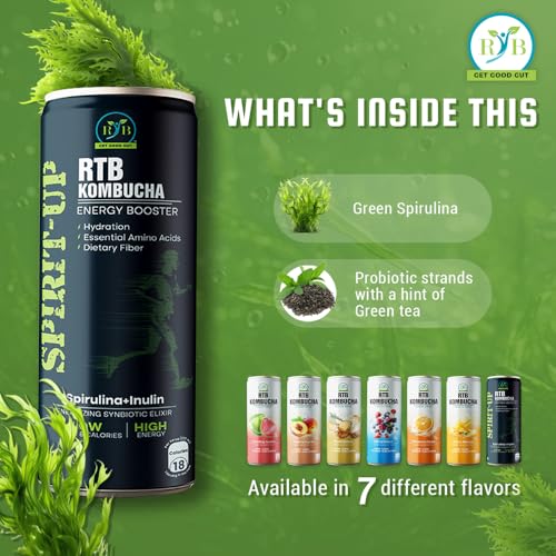 Image of RTB KOMBUCHA Health Spirulina Drink - Pack of 250ml | Helps in Immune System & Digestive System(Kombucha Culture, Fruit Pulp & Organic Sugar)