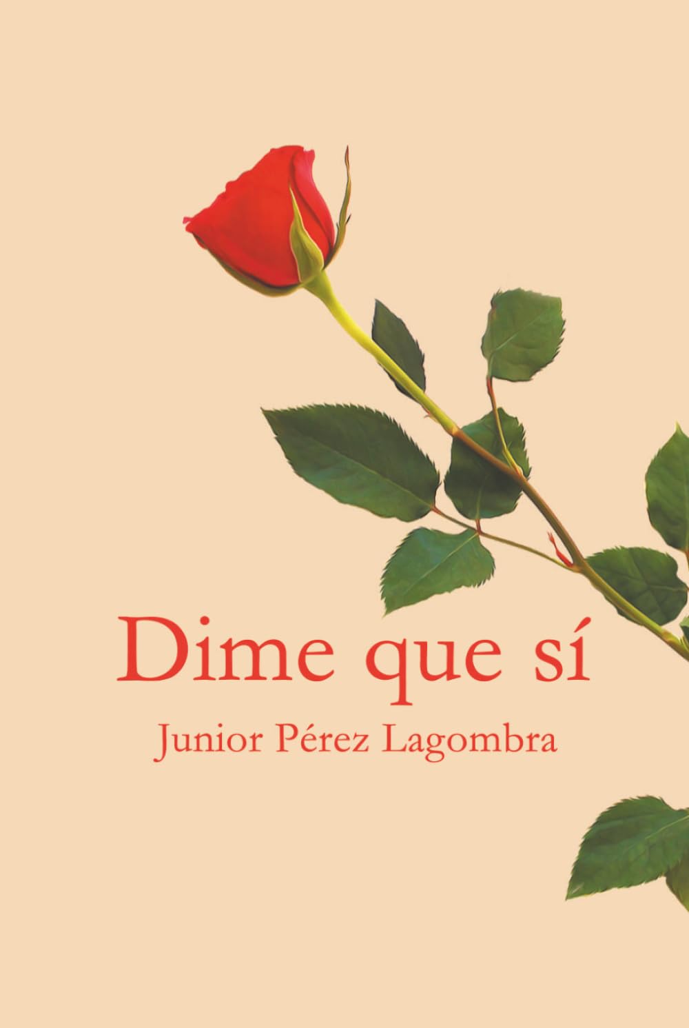 Dime que sí: Romance de una atracción irresistible