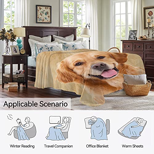 Doinbee Golden Retriever Dog Blankets Cute Dog Labrador Retriever Puppy Pet Throw Blanket Flannel Soft Warm Fluffy Fleece Blanket For Car Sofa Chair Bed Living Room Bedroom All Season 60"X50" #TOP2