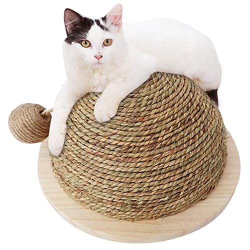 Mlec tech Rascador para Gatos con Bola Colgante de Sisal Rascadore Semi-Circular Molienda