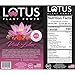 Lotus Plant Energy Pink Lotus 5:1 Energy Concentrate - 64 fl. oz | Vegan, Gluten-Free | Natural Caffeine Boost | Supports Vitality & Focus | Sweet, Fruity, and Floral Flavor | Cane Sugar, Coffee Fruit, Adaptogenic Botanicals, Tart Cherry, Red Raspberry | Perfect for Coffee Shops, Cafes, and Bars | 80 mg Caffeine per Serving