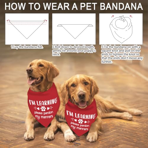 arricraft 1 Pc I’m Learning Please Pardon My Manners Dog Bandana - Image 4