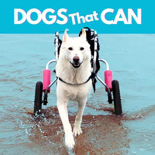 Couverture de Dogs That Can!