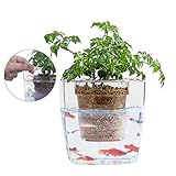 ZDYLM-Y Acuario de acuaponia, Sistema de Cultivo hidropónico, jardín plantador de riego automático, germinador de Semillas de Plantas de Cultivo