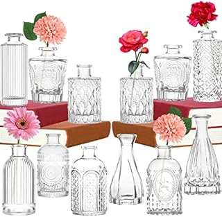 Small Glass Flower Bud Vase Set of 12 Mini Bud Sweet Pea Clear Vases Bulk Crystal Clear for Living Room Dining Table Wedding Centrepiece Indoor Bedroom Decoration Mother Gift