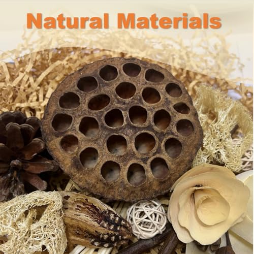 Bird Toys - Lotus Pod Foraging Box, 10 Natural Ingredients | Chewing and Shredding Parrot Toys | Ideal for Parakeets/Cockatiels/Conures/Lovebirds and Small to Medium Birds - Image 6