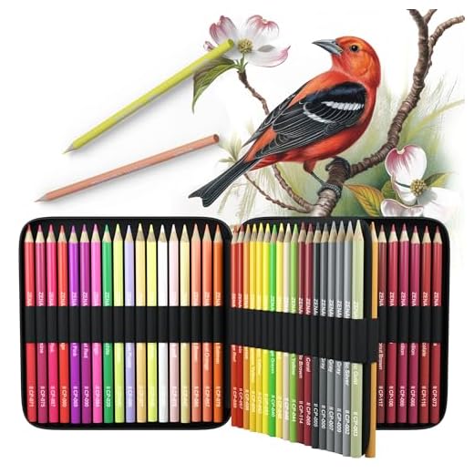 Zenacolor 72 Lápices de Colores Profesional, Únicos con Estuche de Transporte, Para pintar Mandalas de Adultos - Kit de Dibujo