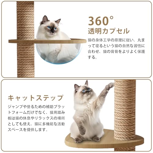 CozyMeow キャットタワー 突っ張り 木製 キャットツリー 木登りタワー 多層無垢材 太い支柱 スリム 宇宙船 ハンモック 多頭飼い 大型猫用 猫タワー 人気 おしゃれ 爪とぎ つめとぎ 猫 かわいい ねこ キャットウォーク 安定性良い 高さ調整幅235~260cm の商品画像 2