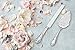 Strova Silver Wedding Cake Serving Set - Elegant Cake Cutting Knife and Server for Event Use