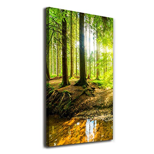 Tirages sur toile Tulup 60x120 tableau paysage vert soleil forêt décoration