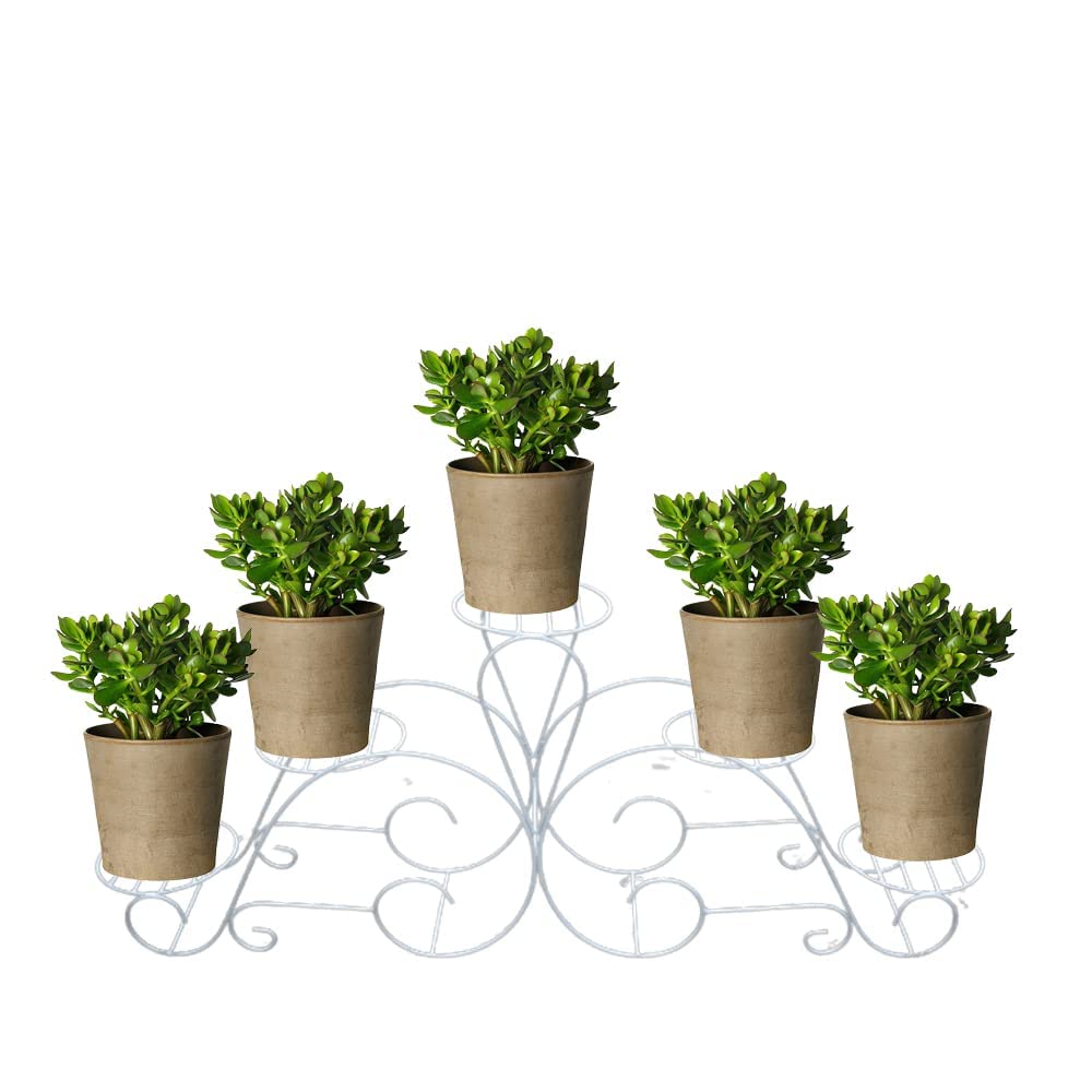 THE BUY COLLECTION Metal Stand for 5 Pot Holder White set of 1 (B09TRDPT7N) Amazon Price History, Amazon Price Tracker
