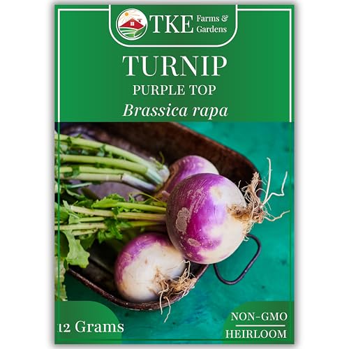 TKE Farms & Gardens - Purple Top Turnip Seeds for Planting 12 Grams 5000 Heirloom Seeds Non-GMO Packet Includes Instructions for Growing Brassica rapa Qty 1