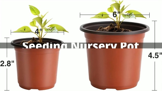 Amazon.com: Delxo 100 Pcs 6 Inch Plants Nursery Pots Reusable Plant Seeding  Nursery Pot Waterproof Plastic Pots Seed Starting Pots : Patio, Lawn &  Garden