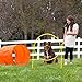 Outward Hound Zip & Zoom Outdoor Dog Agility Training Kit for Dogs