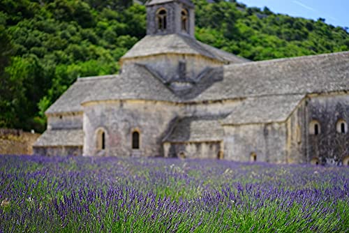 HANSEPUZZLE 67054 - Abtei von Senanque Puzzle 2000 Teile | Religion Puzzle mit hochwertiger Puzzle Aufbewahrung: Kartonbox und Wieder verschließbarem Beutel | Puzzle-Maße: 90 x 60 cm