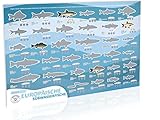 Angler Fischposter zum Rubbeln mit europäischen Süßwasserfischen (Deutsch)