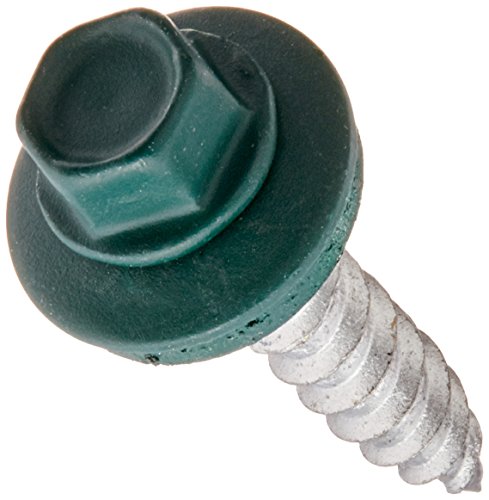Tornillo autorroscante cabeza hexagonal 10 pulg x 1 pulg