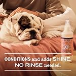 MRS. MEYER'S Clean Day Dog Deodorizing Spray, White Peach Scent, 8oz - Image 4