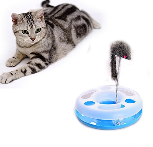 Image of Pets Empire Catch The Mouse Motion Cat Toy