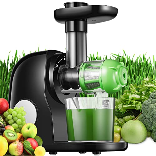Top 10 Easy Juicers of 2023 Best Reviews Guide