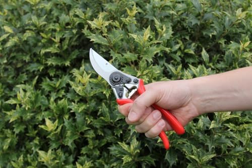 Red Line Large Bypass Pruner - Thumbnail 2