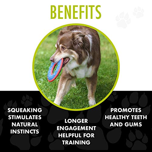 Hero Outer Armor, Fetch Ring Dog Toy, Floats & Squeaks, Blue #TOP5