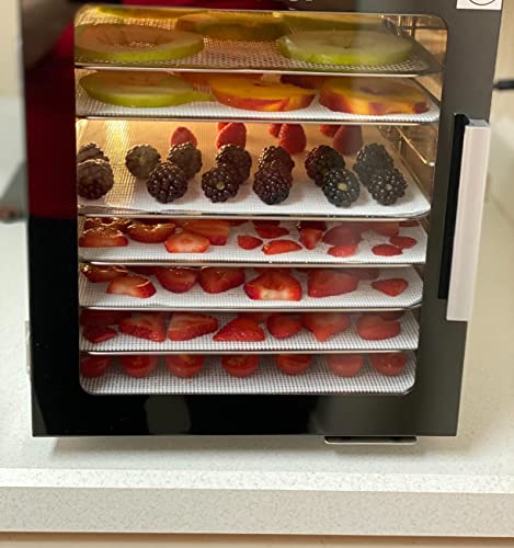 (12 Pack) Silicone Dehydrator Sheets, Dostk Premium Non Stick Silicone Mesh For Fruit Dehydrator, Dehydrator Tray Liner Reusable (14 X 14 Inch) #TOP6