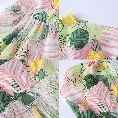 Roupas para Animais de Estimação Roupas para Cachorros de Estimação Roupas para Cães de Estimação Ro