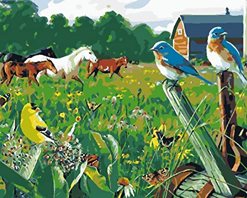 Point de croix pré-imprimé motif Cheval et oiseau - Kit broderie débutant avec fil 40x50cm
