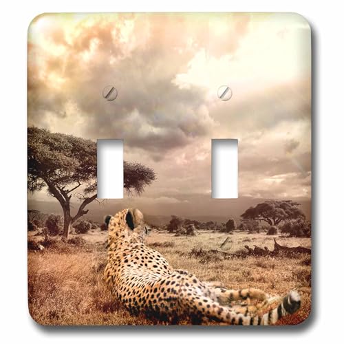 Interrupteur double bascule guépard 3dRose lsp_252084_2 pour mur terne