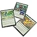 Futhark MTG Stat Counters/Buff Counters for Magic The Gathering - Set of 60 Color Coded MTG Tokens - Improved Gameplay with This Great Magic The Gathering Gift