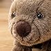 lilizzhoumax Wombat Peluche 40cm/16 Imagen de lilizzhoumax Wombat Peluche 40cm/16
