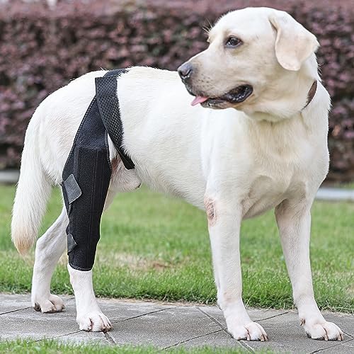 Image of Dog Knee Brace for Support with Cruciate Ligament Injury, Joint Pain and Muscle Sore,Adjustable Dog Leg Brace Protects Wounds,Heals,and Prevents Wound Infection for Dogs S