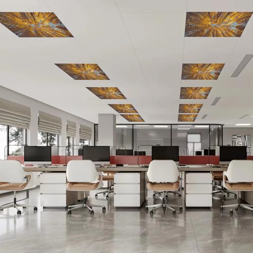 Image of 8 Pcs Fluorescent Light Covers with 80 Magnets Decorative for Classroom Ceiling Light 4 x 2 Feet Magnetic Light Covers Filter Easy Install for Office Hospitals & Home Drop Ceiling Supplies