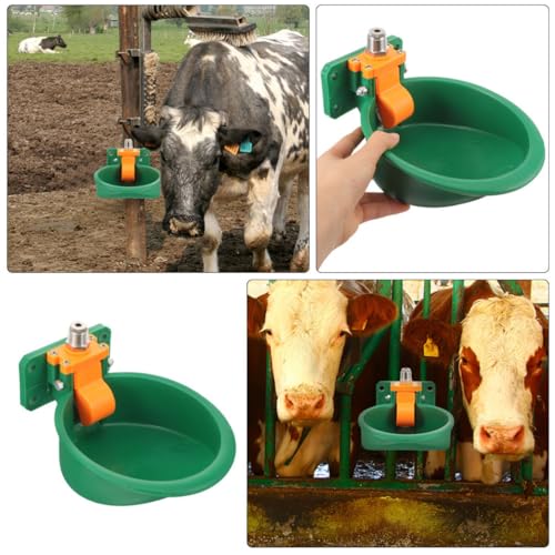 Bebedero automático para cabras y ganado con plástico verde resistente 8
