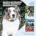 PetSafe Remote Spray Trainer, Dog Training Collar - 3 Modes: Tone, Vibration or Spray - Rechargeable and Water-Resistant Includes Citronella and Unscented Spray Refills - 300 Yards (900 Feet) Range