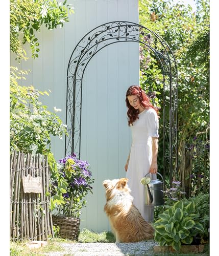 Dehner Rosenbogen Cornwall, ca. 236 x 118 x 31 cm, Metall, grau/schwarz, dunkelgrau